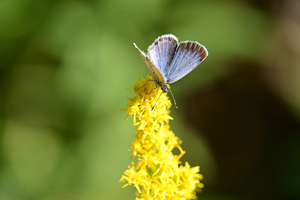 004_251103012 X900 〇保土ヶ谷公園 Z50 Z50-250.jpg