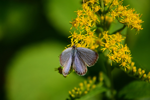 001_251103003 X900 保土ヶ谷公園 Z50 Z50-250.jpg