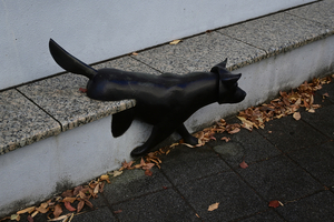 015_251127044 X900 〇YBP Z30 Z16-50.jpg