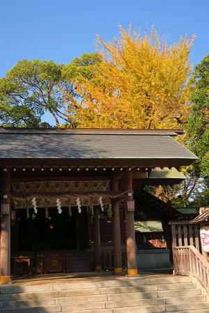 024_251107008 x900 神明社 G7X.jpg