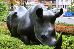 018_251119062 X900 犀-2 安藤泉 1990 YBP D30 16-50.jpg