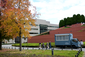 004_251119014 X900 プラタナス YBP D30 16-50.jpg