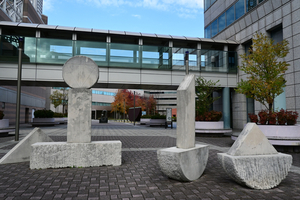 015_251119050 XD900 月食の観測器 マイケル ケニー YBP D30 16-50.jpg