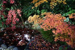 018_251127052 X900 〇神明社人形流し Z30 Z16-50.jpg