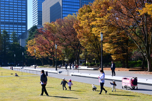 006_251121032m X900 ◎ケヤキ並木 日比谷公園 Z30 16-50.jpg