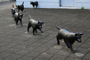 016_251127041 X900 〇YBP Z30 Z16-50.jpg