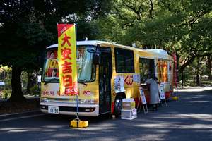 019_251121105 X900 ◎雲形池 日比谷公園 Z30 16-50.jpg