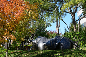 013_251127036 X900 〇YBP Z30 Z16-50.jpg