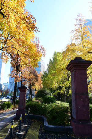 009_251121043 X900 桜門付近 日比谷公園 Z30 16-50.jpg