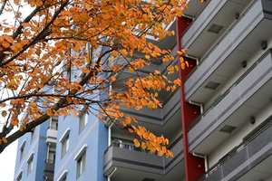 047_251116075 X900 〇カツラ 保土ヶ谷区役所 Z30 Z16-50.jpg