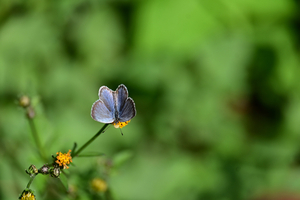 006_251028035s X900 ◎保土ヶ谷公園 ヤマト Z50 Z50-250.jpg