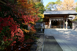 020_251127064 X900 ◎神明社 Z30 Z16-50.jpg