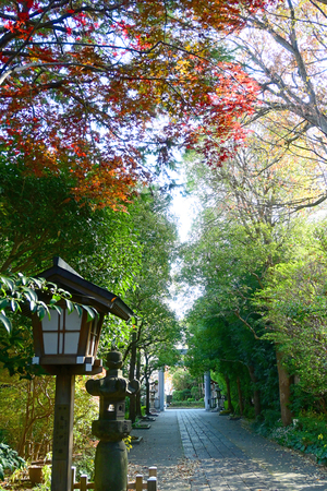 022_251127086 X900 ◎神明社 Z30 Z16-50.jpg