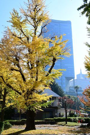 011_251121051 X900 〇桜門付近 日比谷公園 Z30 16-50.jpg