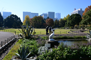 008_251121040 X900 アオノリュウゼツラン 日比谷公園 Z30 16-50.jpg