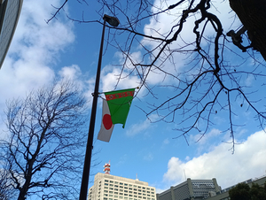 002_251219001 X900.jpg