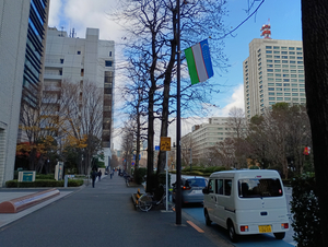 003_251219001 X900.jpg