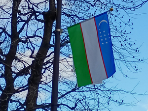 005_251219001 X900.jpg