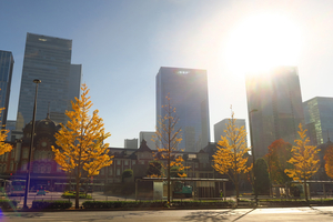 002_251201195 X900 〇東京駅 行幸通り カツラ G7X.jpg