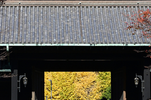 053_251201161 X900 〇乾通り 乾門 Z50 Z50-250 - コピー.jpg