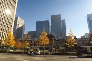 004_251201197 X900 〇東京駅 行幸通り カツラ G7X.jpg