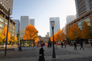 007_251201203 X900 〇東京駅 行幸通り カツラ G7X.jpg