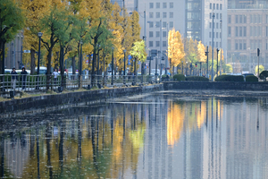 009_251201009 X900 〇東京駅行幸通り 馬場先濠 Z50 Z50-250.jpg