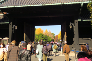 054_251201241 X900 〇乾門を出る人 G7X.jpg