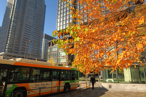 001_251201191 X900 〇東京駅 行幸通り G7X.jpg