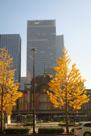 003_251201196 X900 〇東京駅 行幸通り カツラ G7X.jpg