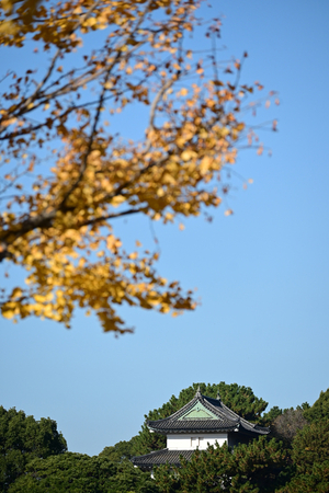 011_251201023 X900 〇内堀通り 富士見櫓 Z50 Z50-250.jpg