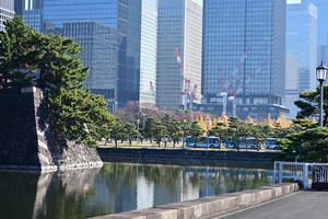 016_251201033 X900 〇蛤濠  Z50 Z50-250.jpg