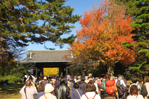 052_251201238 X900 〇トウカエデ 乾門 G7X.jpg