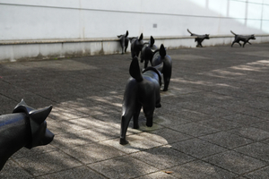 011_260125050 X900 YBP 1990 RX10M4.jpg