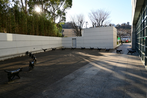 008_251228036 X900 犬も歩けば YBP Z30 Z16-50.jpg