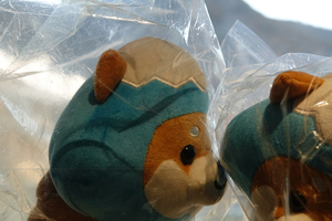 014_260201102 X900 大涌谷 RX10M4.jpg