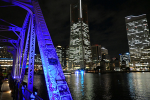 036_251222116 X900 ◎汽車道 ヨコハマヨルノヨ.jpg