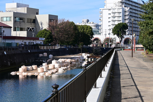 010_251231001 X900 帷子川 Z50 Z50-250.jpg