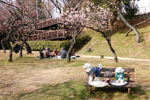 015_260205116 X900 3匹のペット 梅園 保土ヶ谷公園RX10M4.jpg