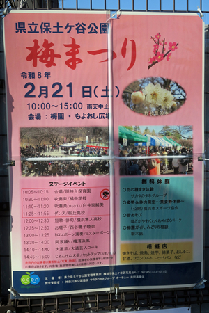 001_260221005 X900 保土ヶ谷公園 G7X.jpg