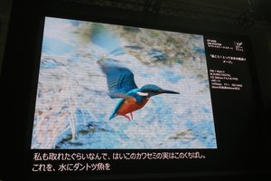 004_260226038 X900 Olympus CP+ G7X.jpg