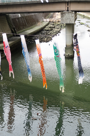 013_260322038 X900 ○帷子川河畔 G7X.jpg