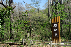 007_260403022 X900 武蔵嵐山 G7X.jpg