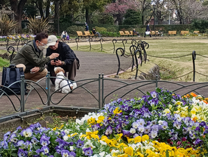 007_260328031 X900 ◎第一花壇日比谷公園 F-52E.jpg