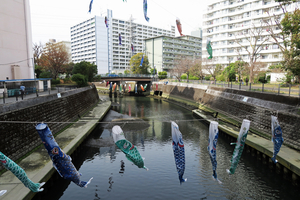 007_260322021 X900 帷子川 G7X.jpg