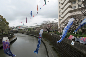 011_260326048 X900 ◎鯉のぼり G7X.jpg