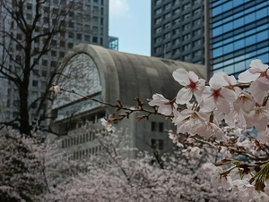 018_260328085 X900 ○かもめの広場 日比谷公園 F-52E.jpg