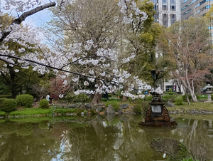 017_260328073 X900 ○雲形池 日比谷公園 F-52E.jpg