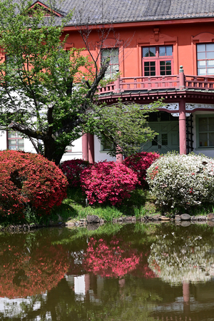 019_260412053 X900 小石川植物園 Z50 Z50-250.jpg