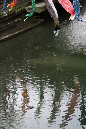 014_260322040s X900 ○帷子川河畔 G7X.jpg